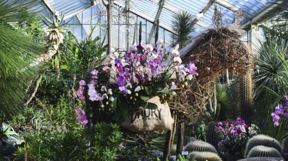 Orchid Festival at Kew Gardens